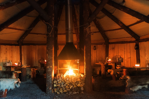 Tromsø: Excursión de un día en trineo de renos, cena y aurora borealTromsø: Excursión de un día con trineo de renos, cena y aurora boreal