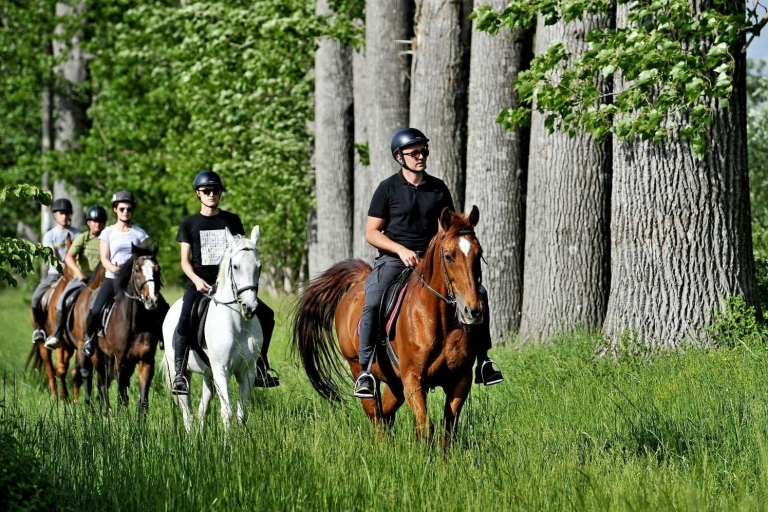 From Split: Full-Day Horse Riding & Quad Biking with Lunch Tandem Quad