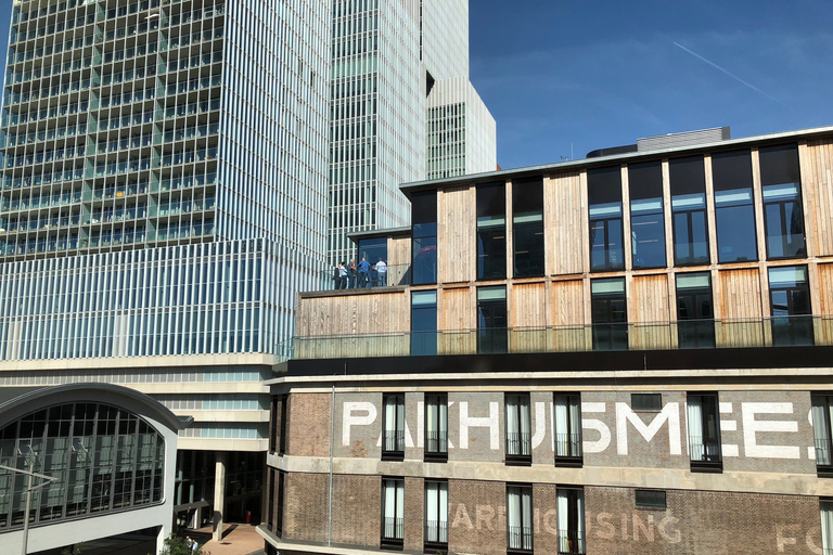 Rotterdam : De Rotterdam, maison cubique et MarkthalVisite privée