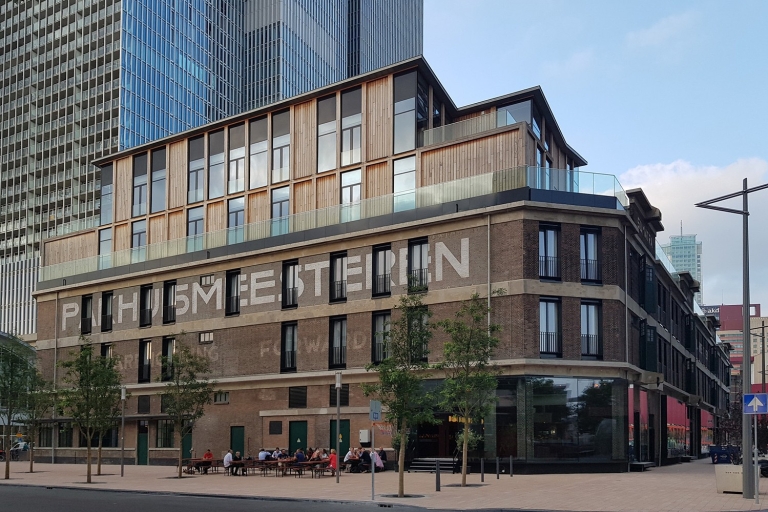 Rotterdam: vue sur le toit et visite architecturale de WilhelminapierVisite privée