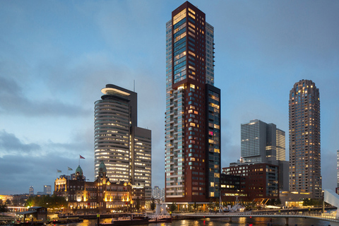 Rotterdam: vue sur le toit et visite architecturale de WilhelminapierVisite privée