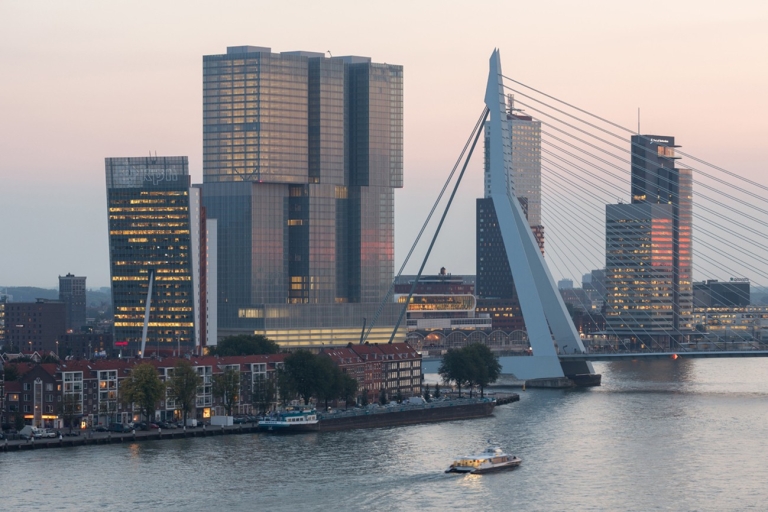 Rotterdam: recorrido por la arquitectura y la vista de la azotea de WilhelminapierTour privado