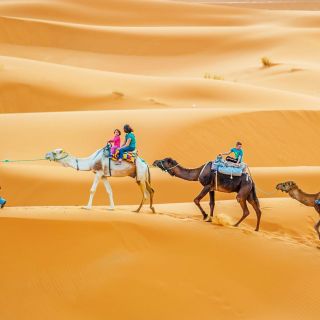 Douz: Private Sahara Desert Camel Trek with Lunch
