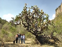 From San Miguel de Allende, Hiking in the Canyon with Lunch - Housity