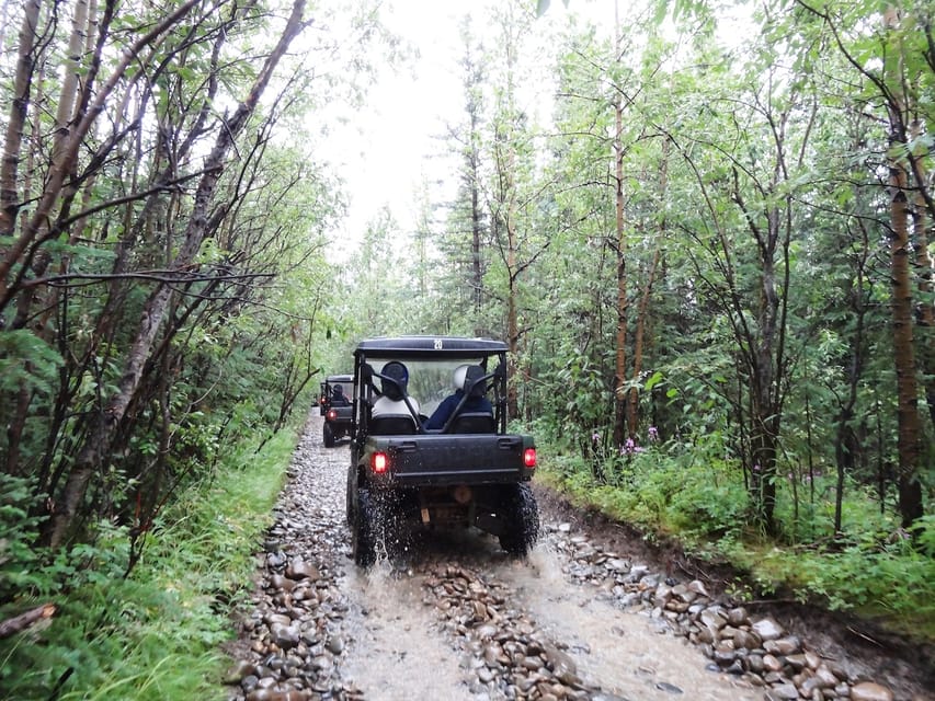 Denali ATV Trailblazer Tour - Denali ATV Adventures