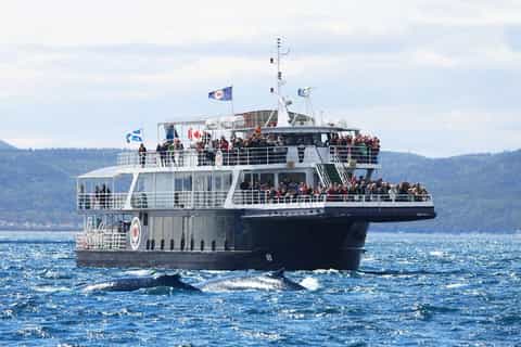 tadoussac or baiesaintecatherine whale watching cruise