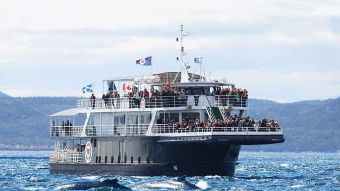 tadoussac or baiesaintecatherine whale watching cruise