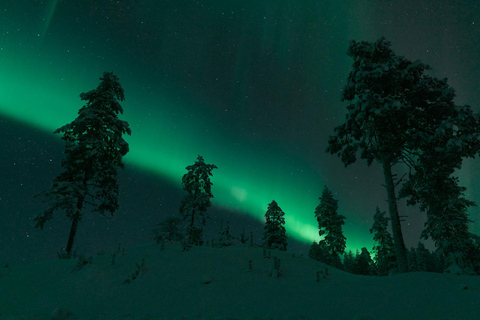 Rovaniemi: Aurora Hunt with 95% Success Rate, 4 people group Rovaniemi: Aurora Hunt with 95% Success Rate, PRIVATE