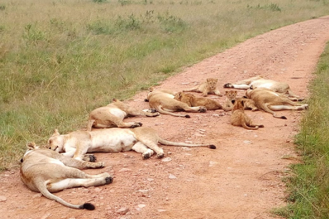 Ol Pejeta Conservancy Full Day Tour vanuit Nairobi