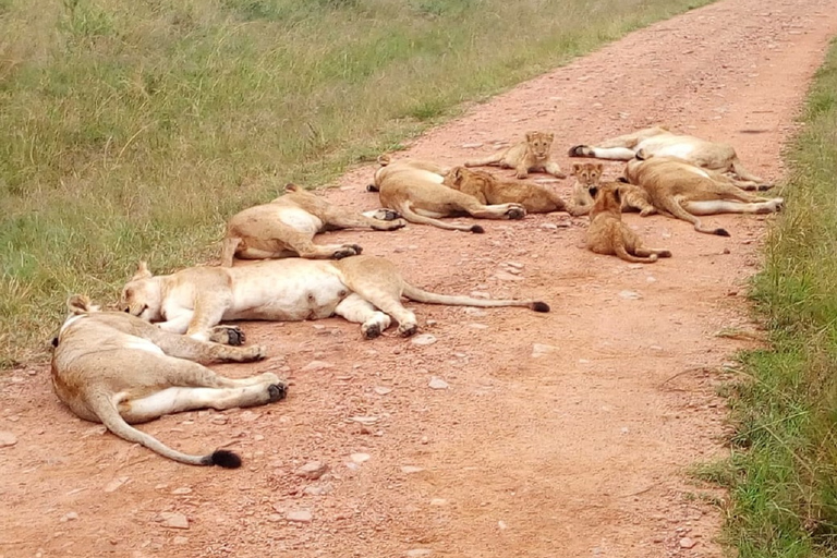 Ol Pejeta Conservancy Full Day Tour vanuit Nairobi