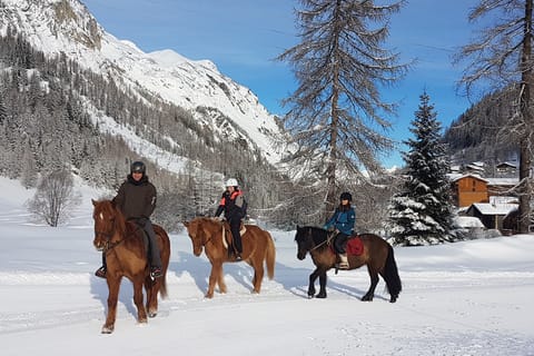 From Bansko: Horse Riding Experience