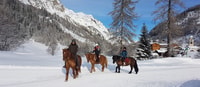 De Bansko, Expérience d'équitation - Hizvo