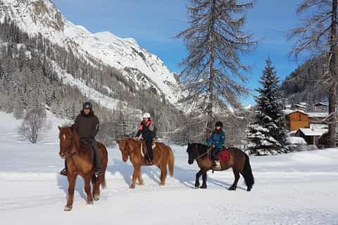 From Bansko: Horse Riding Experience