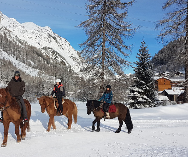 From Bansko: Horse Riding Experience