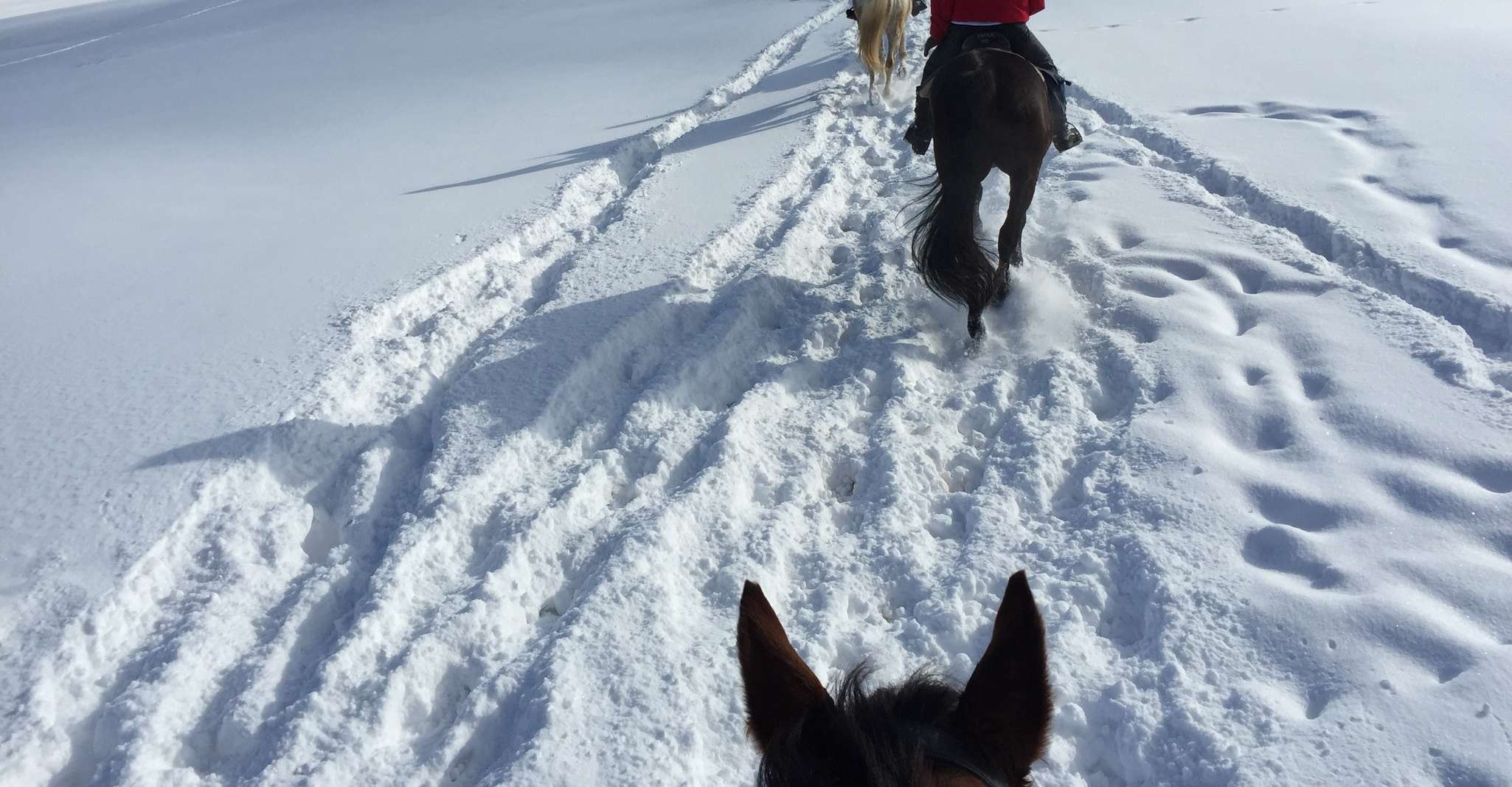 De Bansko, experiencia de montar a caballo - Hizvo
