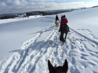 De Bansko, Expérience d'équitation - Hizvo