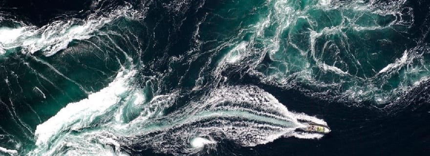 Bodø : Saltstraumen RIB Safari