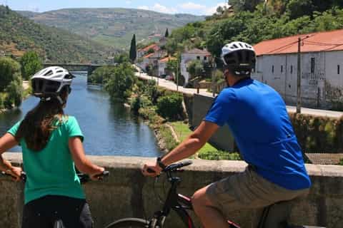 Douro Valley: Biking Tour with Picnic