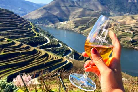 Douro: tour privato di 1 giorno con degustazione di vino, miele e olio d'oliva