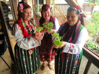 Bansko, expérience de folklore traditionnel - Housity