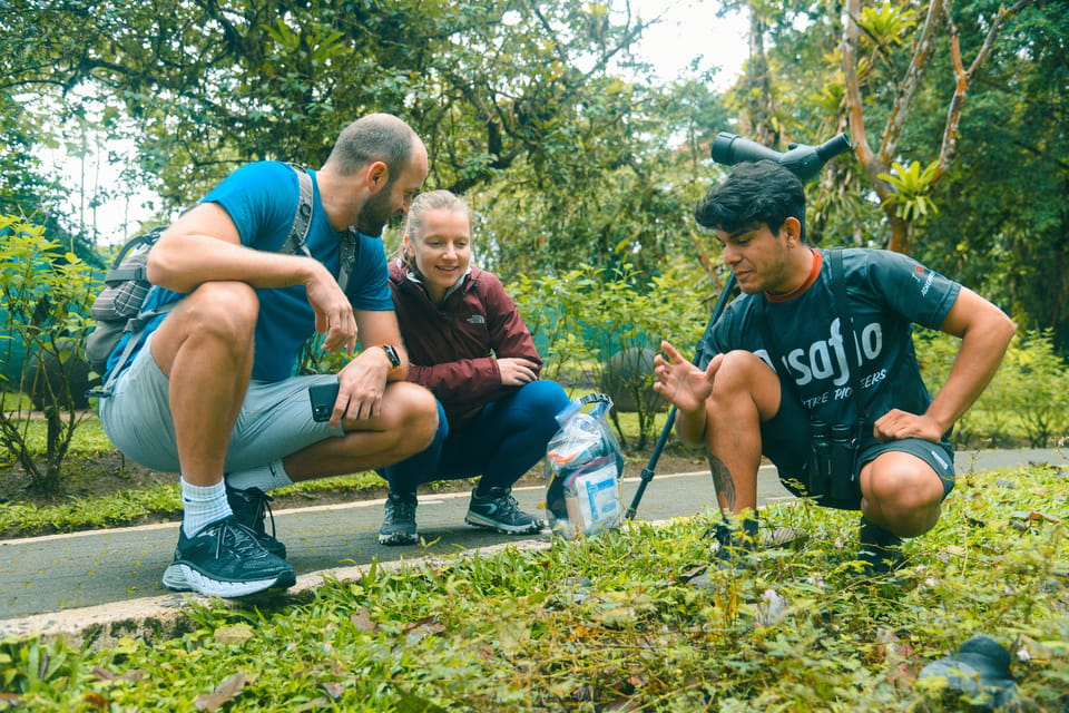 Arenal Hanging Bridges Walking Tour Getyourguide