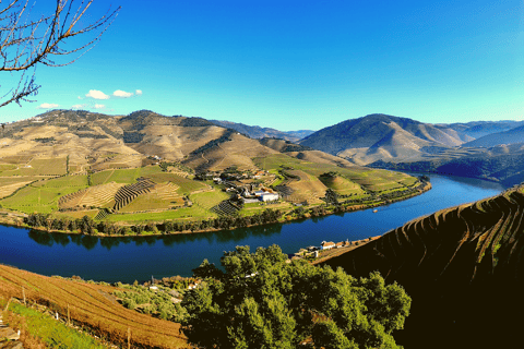 Valle del Douro: tour privato romantico con pranzo in vigna