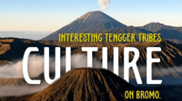 4D3N-Tumpak Sewu-Bromo-Ijen-Ketapang - Housity