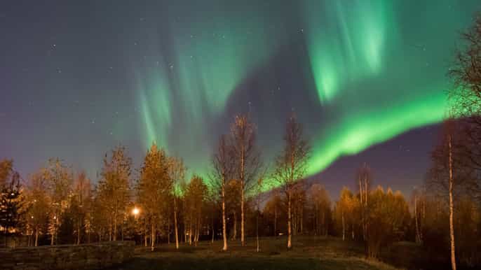 rovaniemi visite de 3 heures des aurores boréales en bus