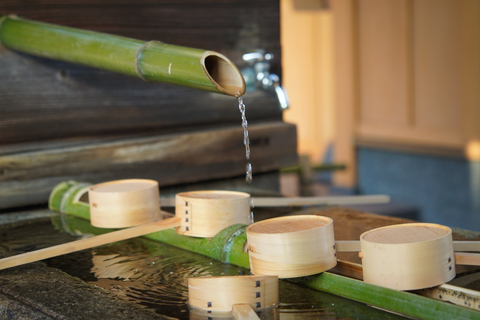 Tour della meditazione e dei giardini zen di Kyoto in un tempio zen con pranzo