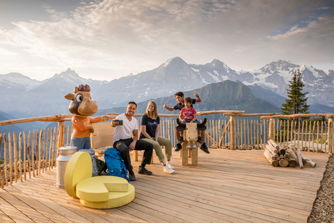 Schynige Platte - Top of Swiss Tradition ticket From Wilderswil: Schynige Platte Railway Round Trip and More