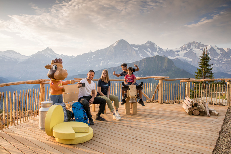 Schynige Platte - Top of Swiss Tradition ticket From Wilderswil: Schynige Platte Railway Round Trip and More