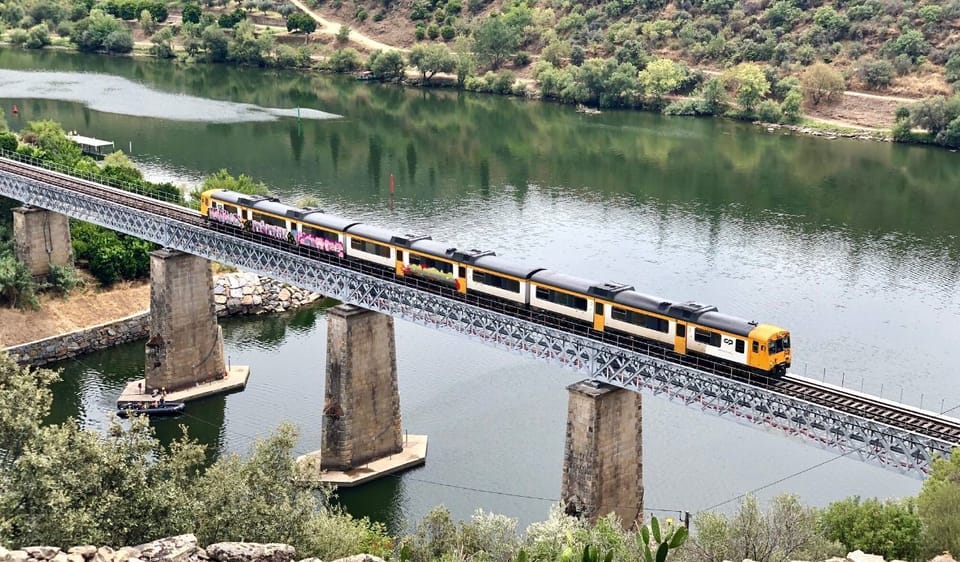 Porto Douro Valley FullDay Boat, Train, and Lunch Tour GetYourGuide