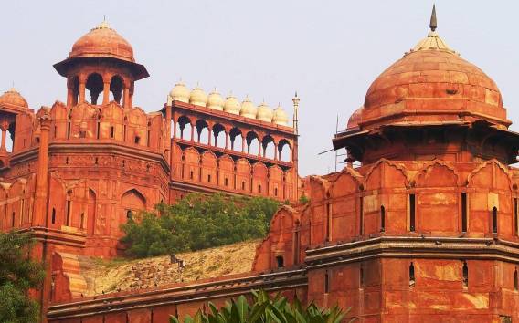 Neu-Delhi: Red Fort Ticket mit optionalem Guide & Abholung