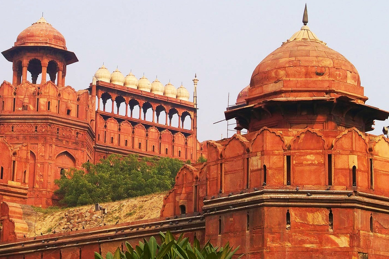 Nueva Delhi: entrada al Fuerte Rojo con guía opcional y recogidaBoleto con guía turístico y recogida y devolución en el hotel