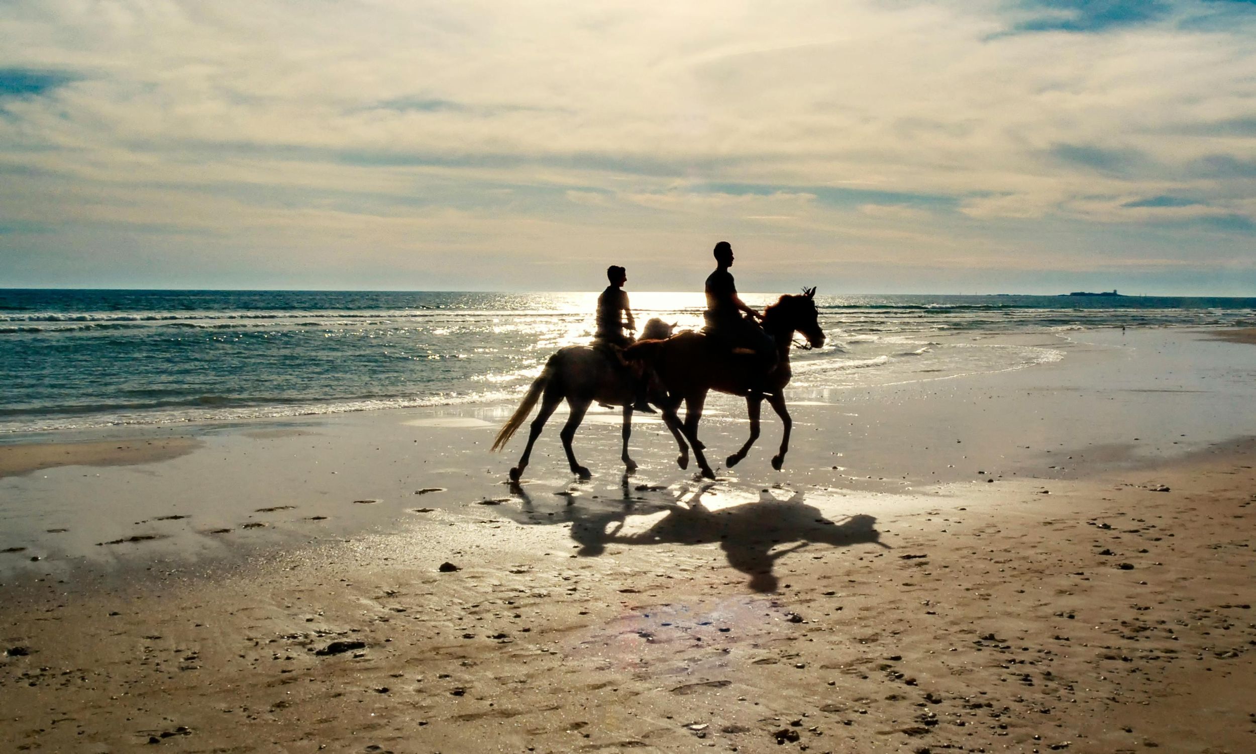 Camargue: Strandausritt für erfahrene Reiter