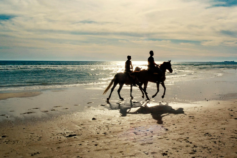 Djerba – Paardrijden naar het eiland van de flamingo&#039;sDjerba - Paardrijden naar het Roze Flamingo-eiland