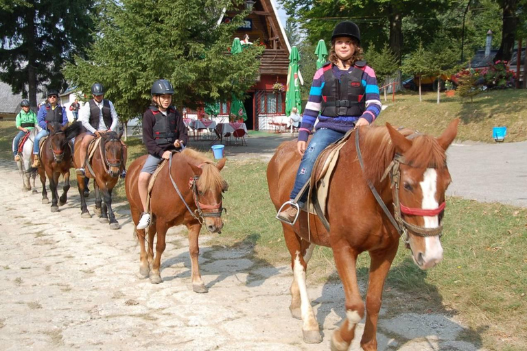 Brașov: Horseback Riding Experience