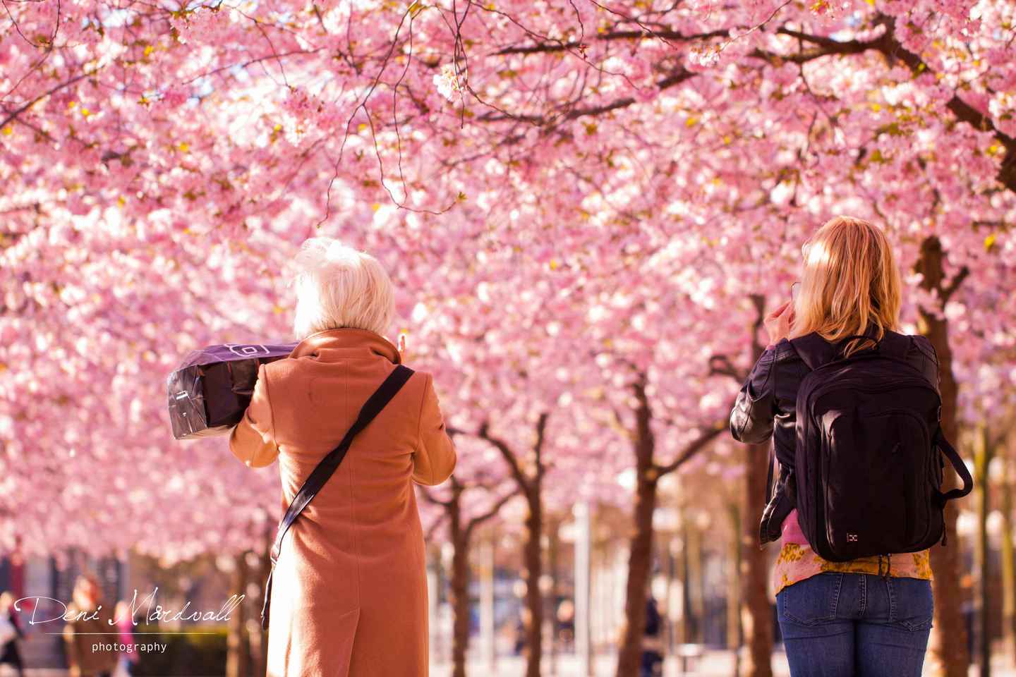 Stokkhólmur: Leiðsögn um helstu staði