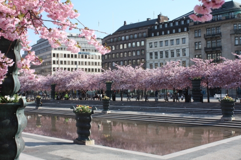 Stockholm: visite guidée à pied des points forts