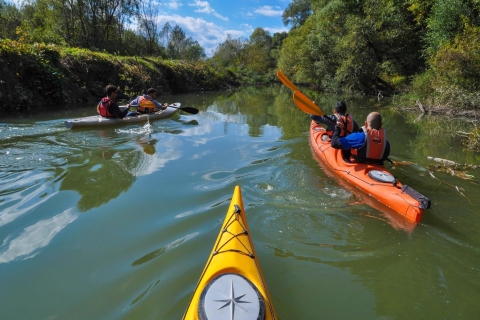 Varna : Excursion d'une journée en kayak sur la rivière Kamchia