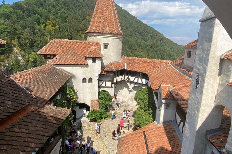 Half Day Tour from Bucharest to Dracula's Castle