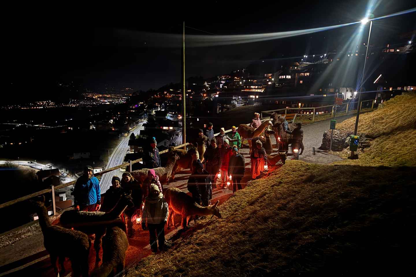 Triesenberg: Lama-Wanderung mit einem köstlichen BBQ mitten im Wald