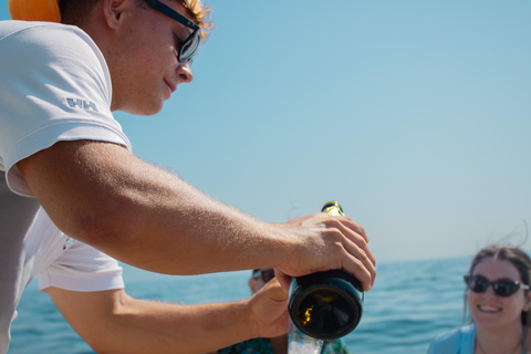 From Ischia: Procida Island Guided Cruise
