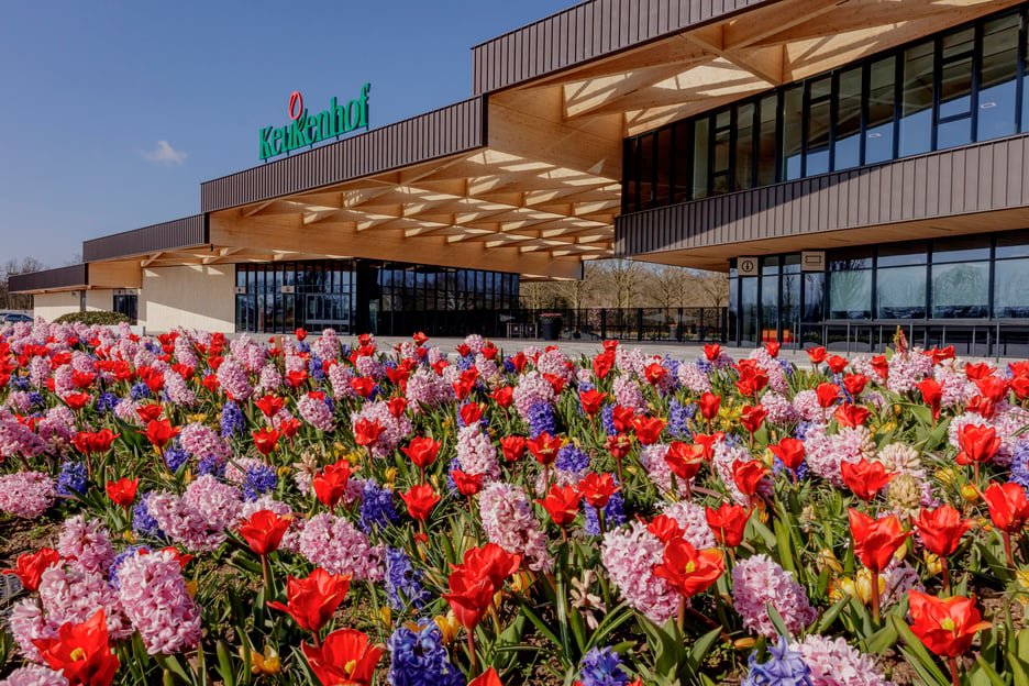 Ab Amsterdam: Halbtägige Radtour Blumenfelder und Keukenhof