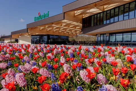 Amsterdam: Halvdags cykeltur til blomstermarkerne og Keukenhof