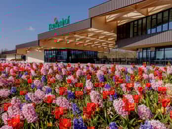 Ab Amsterdam: Halbtägige Radtour Blumenfelder und Keukenhof Ab Amsterdam: Halbtägige Radtour Blumenfelder und Keukenhof
