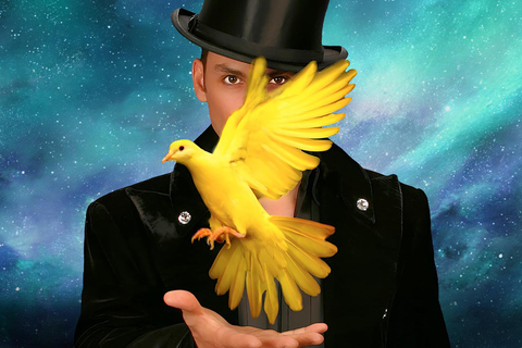 Las Vegas: Allstars Of MagicPosti VIP