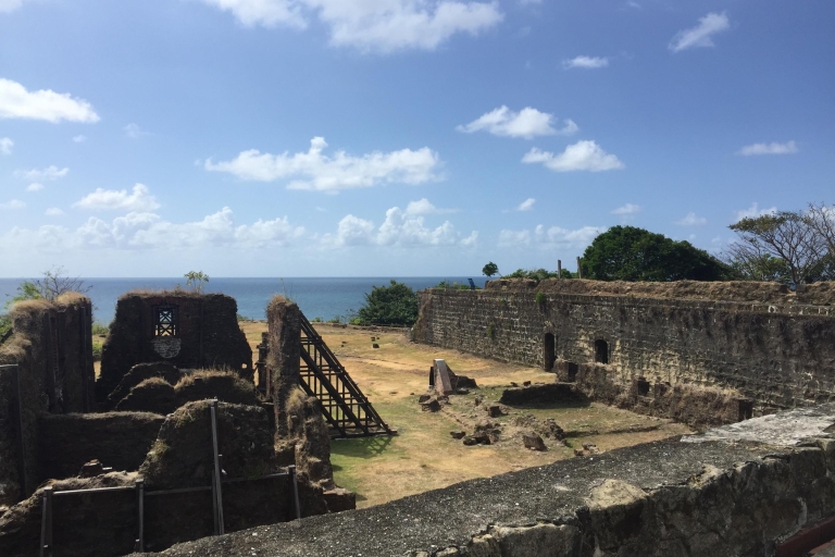 Ab Panama City: Panamakanal und Fort San Lorenzo Tour