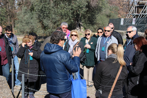 From Rome: Villa D'Este and Hadrian's Villa Tivoli Day Tour Shared Tour in English