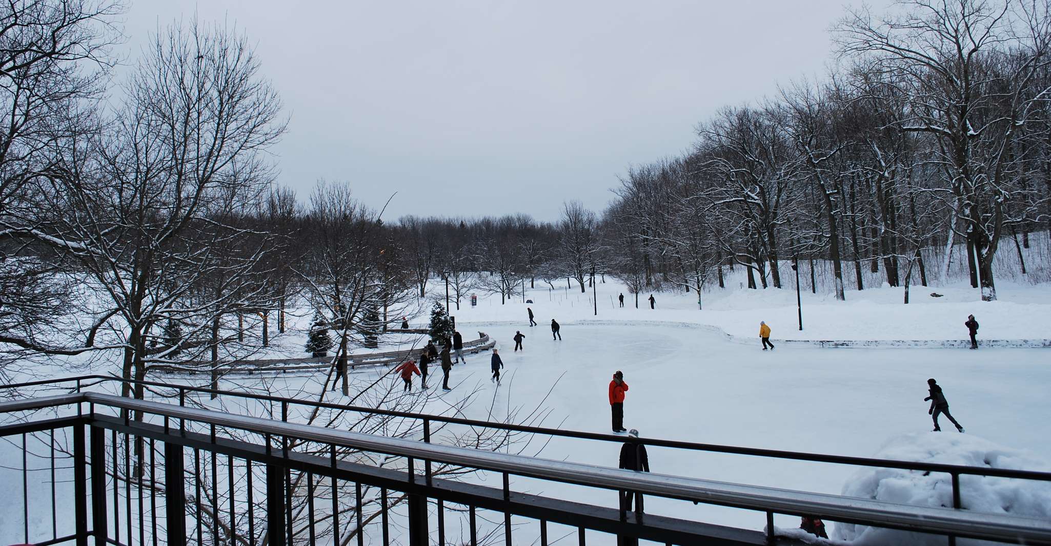 Montreal: Full-Day Small Group City Tour photo 7